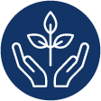 Hands with Leaves
