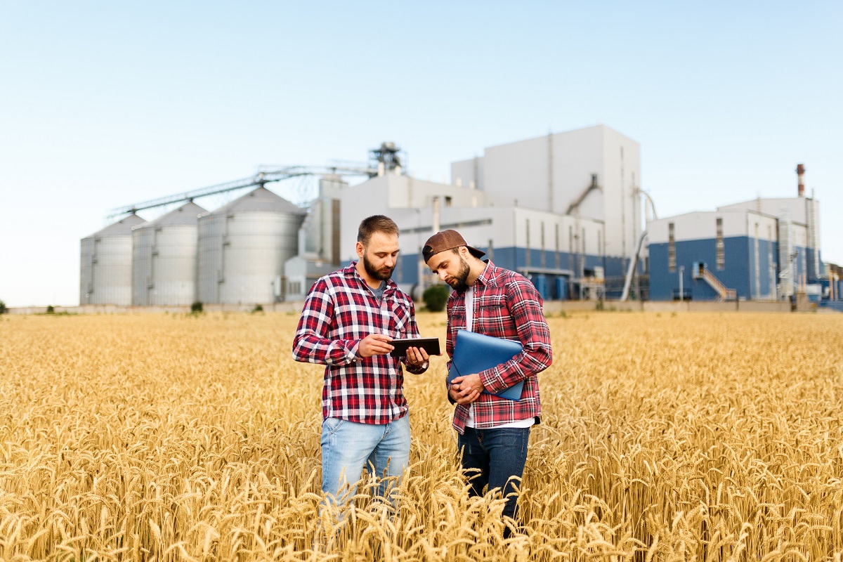 Two men dressed in red flannel shirts stand in the wheat field of their farm and review financials on a tablet
